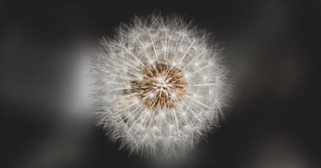 anxiety meditation exercises
